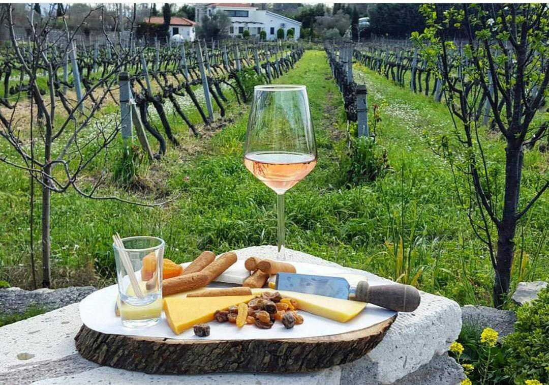 Wine Tasting Experience
